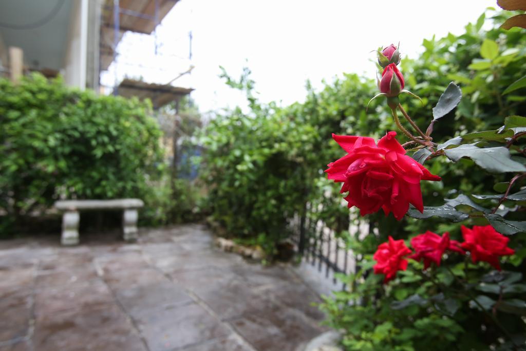 Bed and breakfast Fleur De Lis Mansion